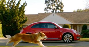 Собака и машина