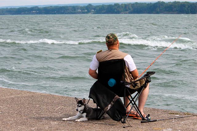 Рыбак и собака 