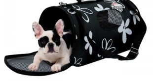 Лучшие сумки переноски для собак